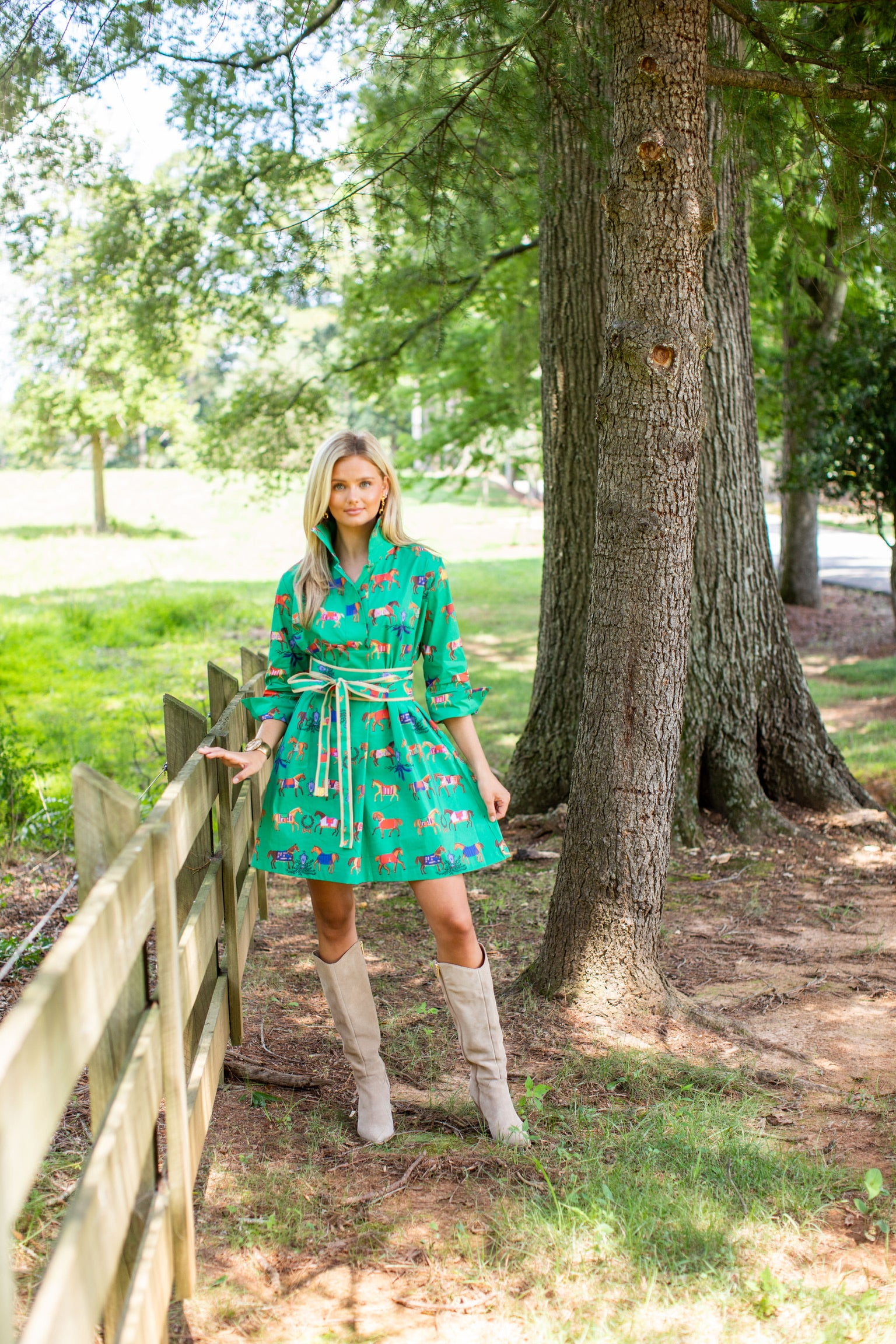 High Horse© Ruthie Shirt Dress Short