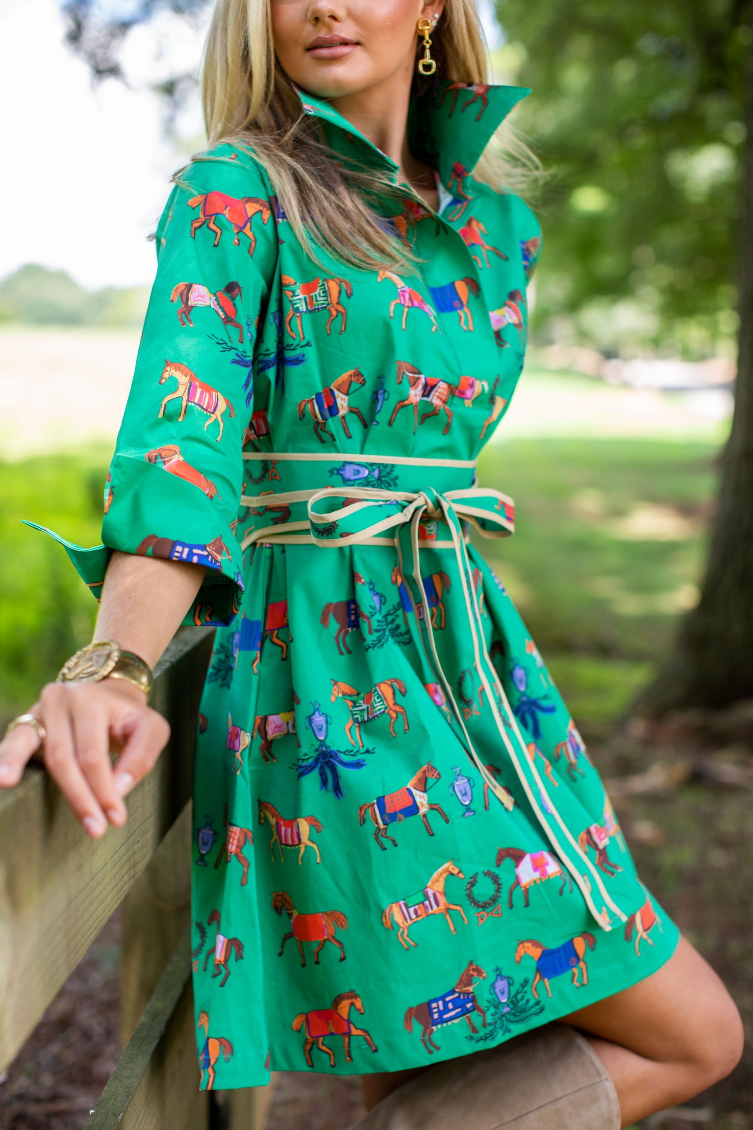 High Horse© Ruthie Shirt Dress Short
