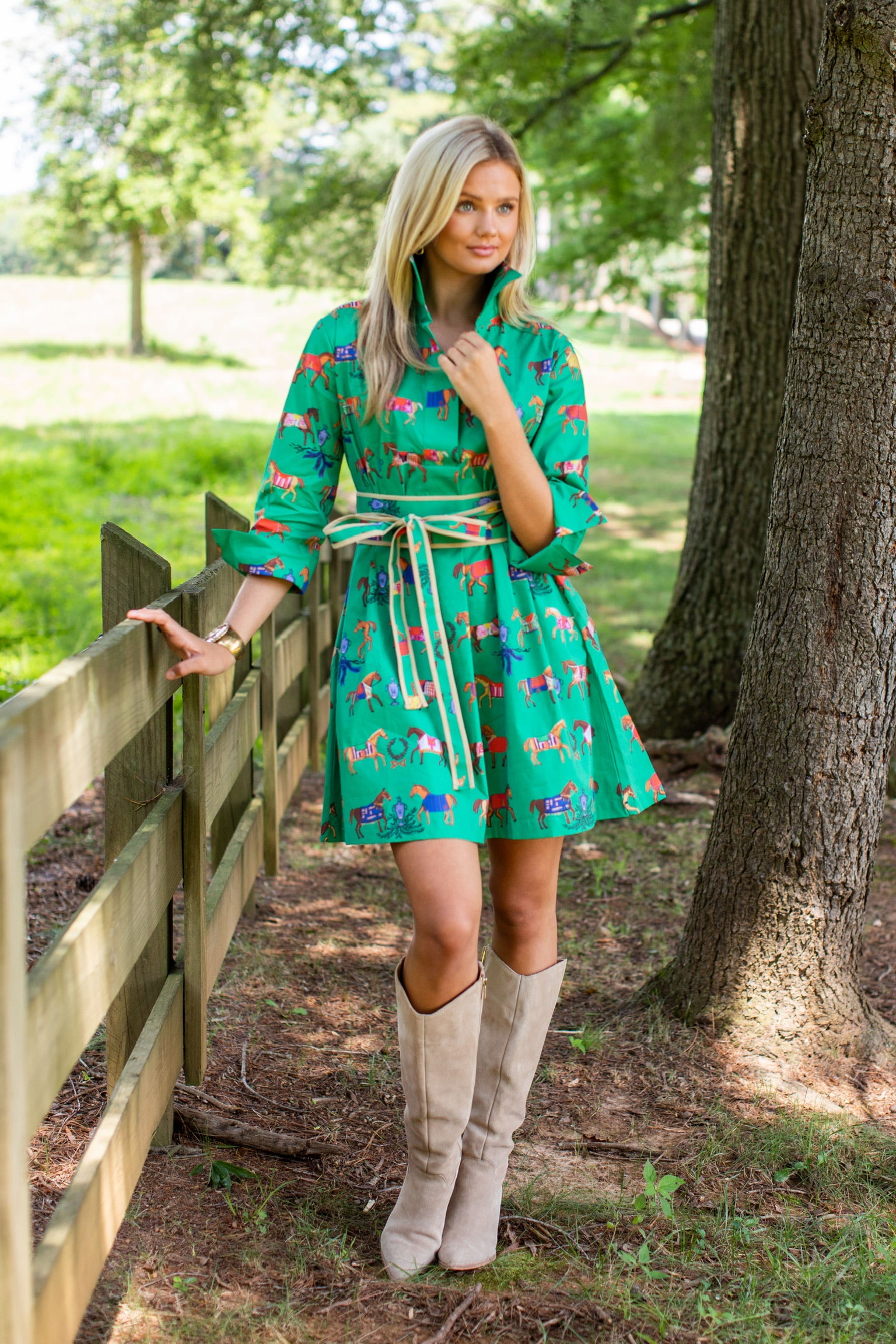 High Horse© Ruthie Shirt Dress Short